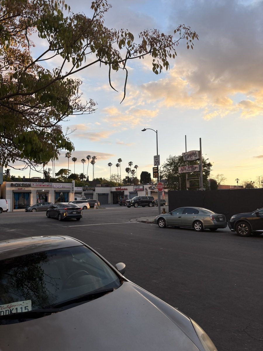 vultureCity tweet media