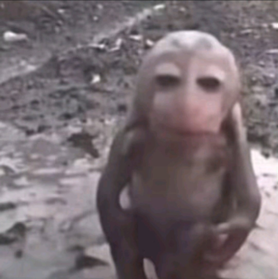 laraah ⚢︎ tweet media