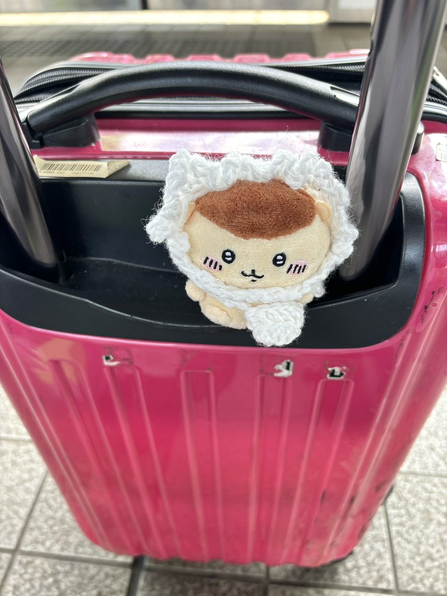 ねこさん tweet media