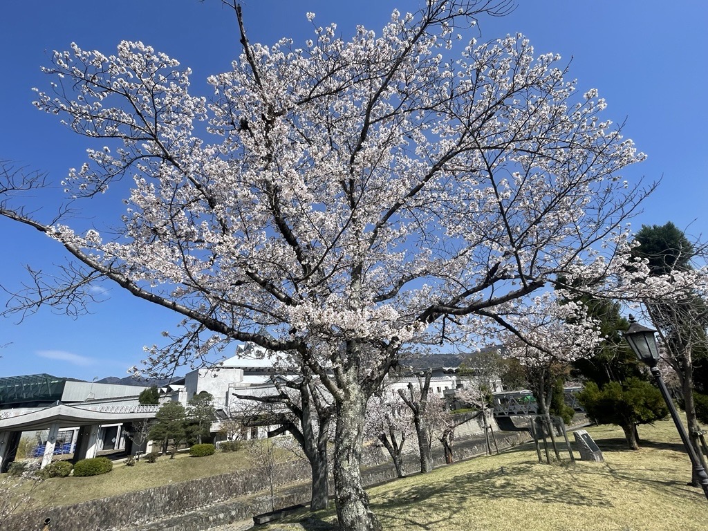 Ryukoku_IntStud's tweet photo. 2026年4月2日（木）に入学式を挙行いたしました。
新入生のみなさん、ご入学おめでとうございます。
皆さんが数多くの学びと挑戦を経て、大きく成長されることを期待しています。
#入学式 https://t.co/8rvG2pyVPJ