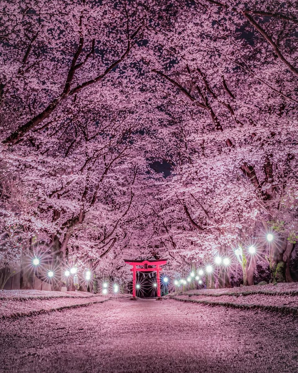 Beauty of Nature. tweet media