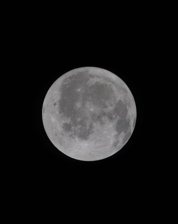 Pop Base tweet media