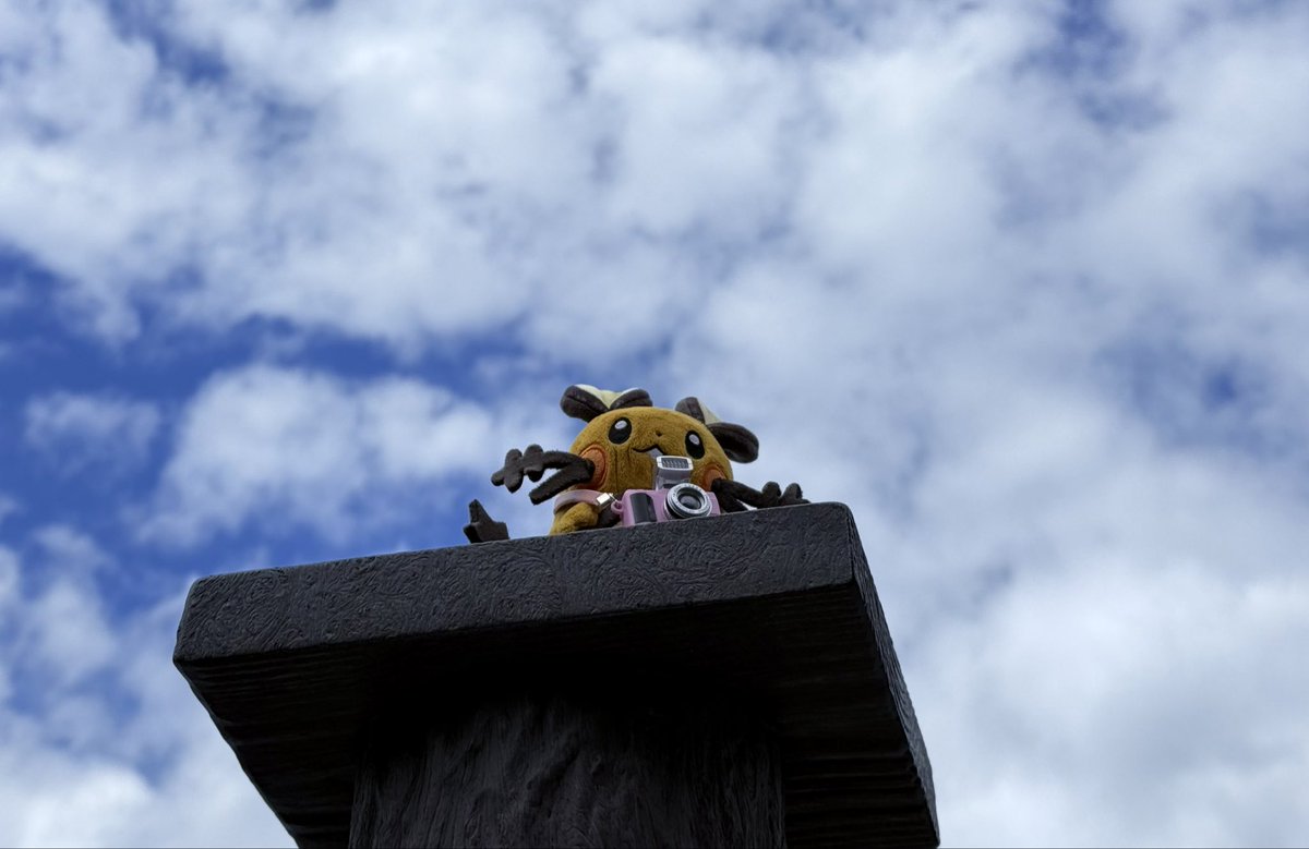 ででちて子 tweet media