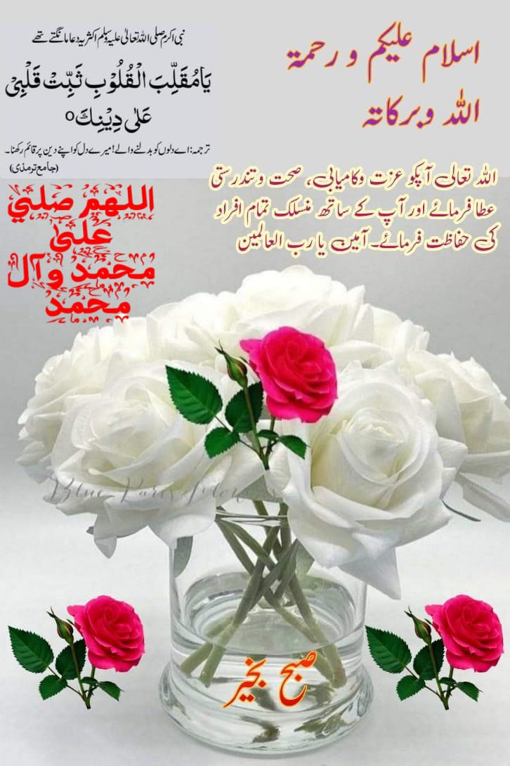 Faiza Khanmᵀᵉᵃᵐᴸᴸᴾ tweet media