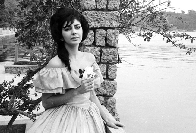 dan ✨️ tweet media