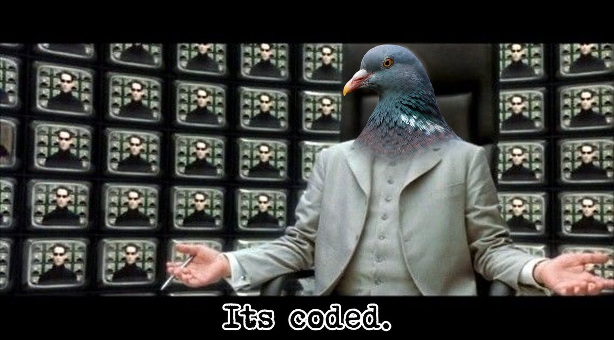 Lo Iku Pijin ( EAZY-P ) tweet media