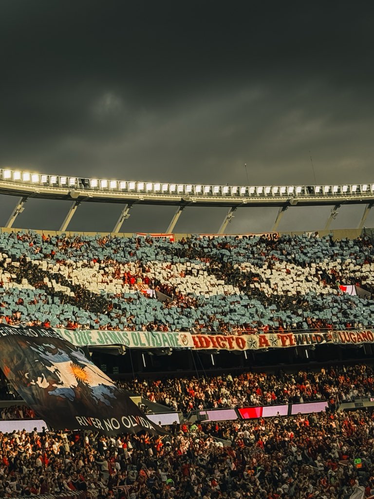 Cris ⭐️⭐️⭐️ tweet media