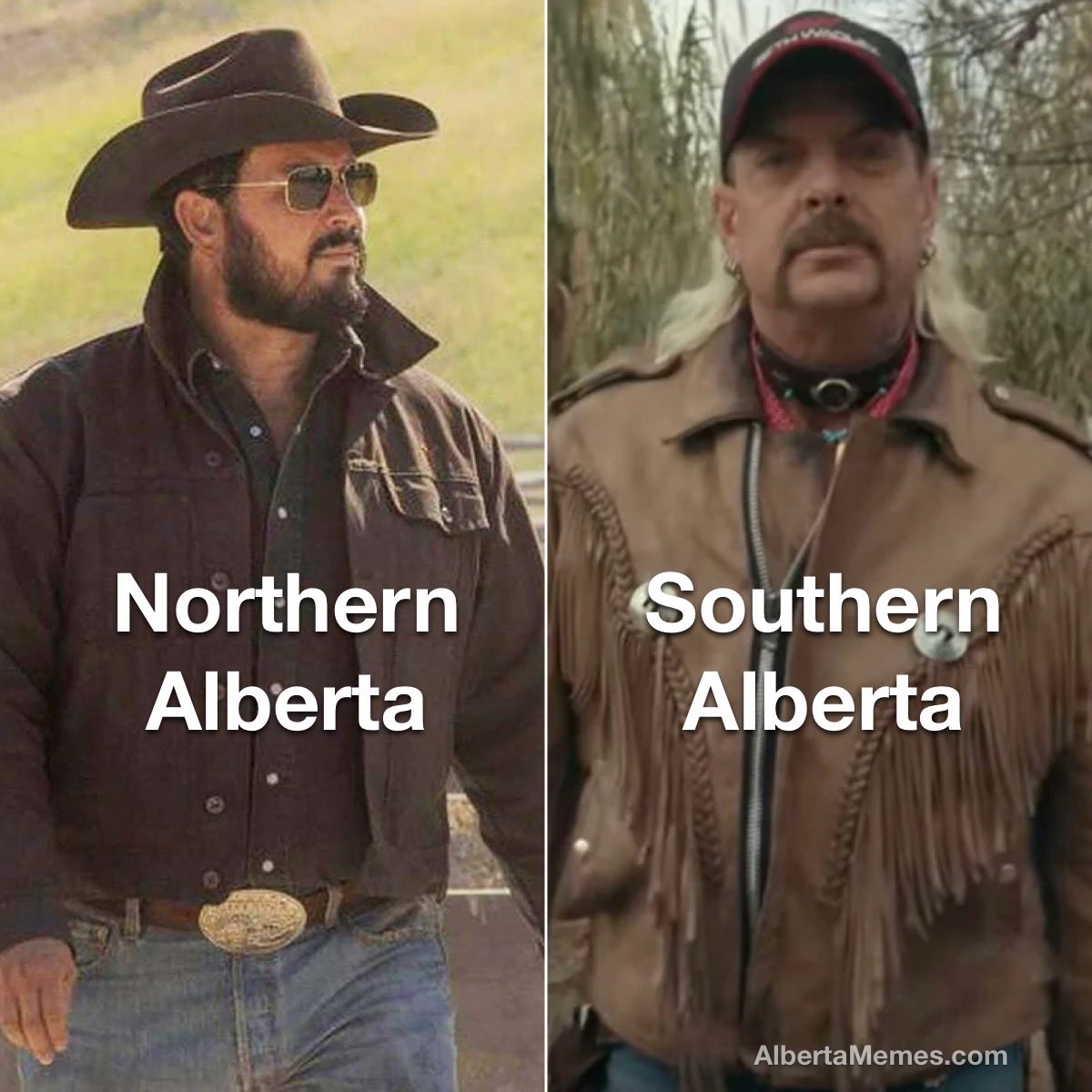 Alberta Memes tweet media
