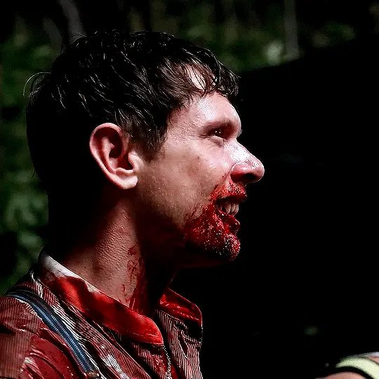 ☆Jimmy Dog☆ tweet media