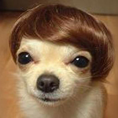 m. grande 🧸 tweet media