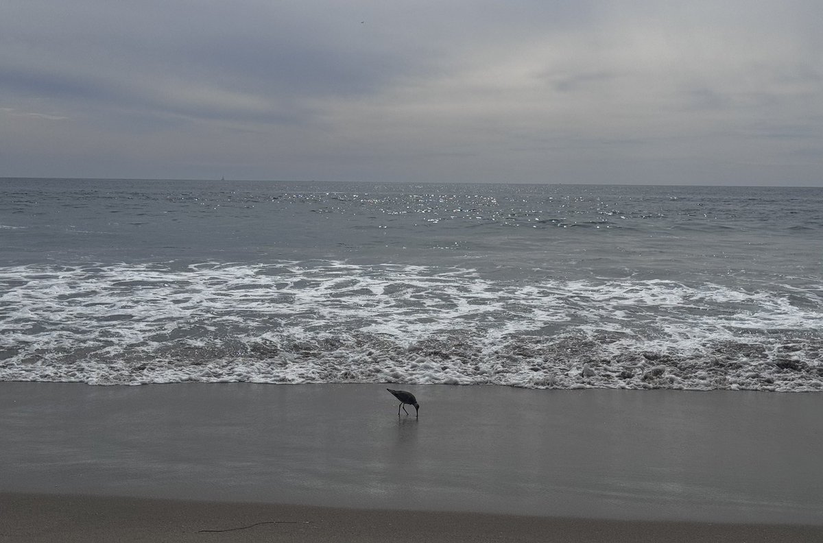 角野隼斗 - かてぃん tweet media