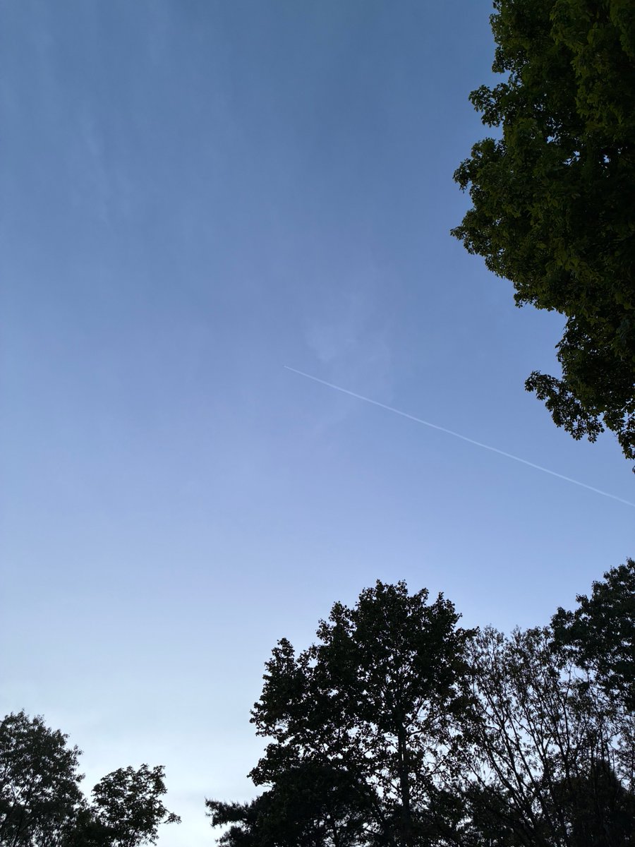 HerculesRockefeller205 tweet media