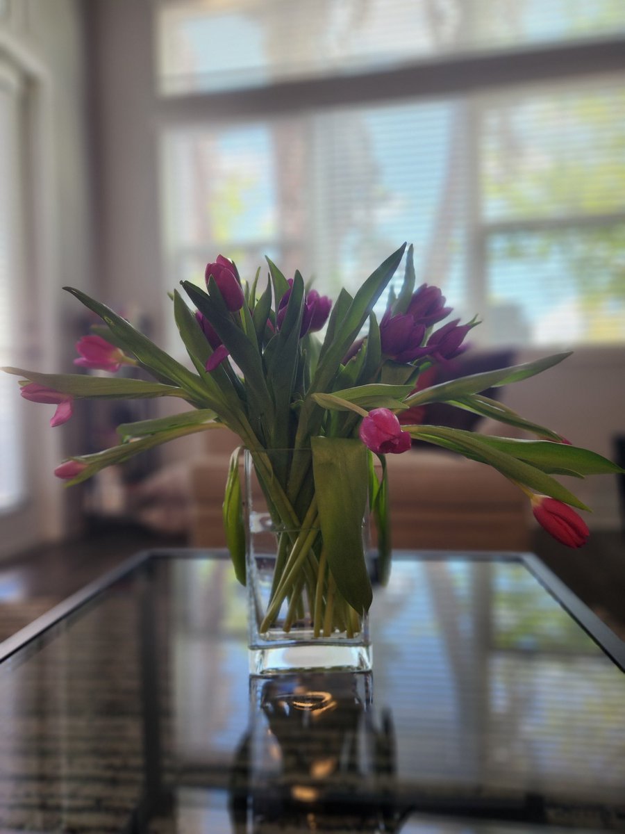 BluheDecor's tweet photo. Sunny days and Decor....is EVERYTHING!!! https://t.co/nBwsNJ5vnj
