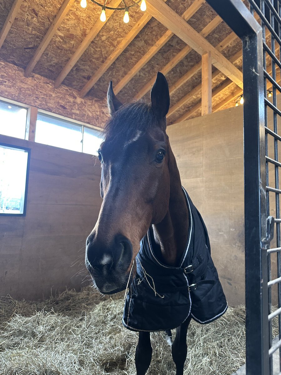 Yogiboヴェルサイユリゾートファーム tweet media