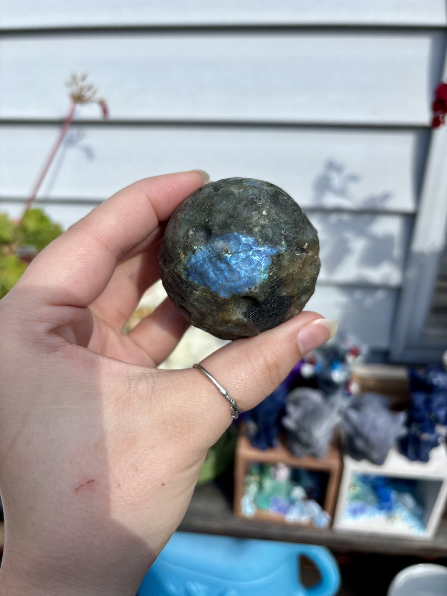 The Faery Grove 🫧 tweet media