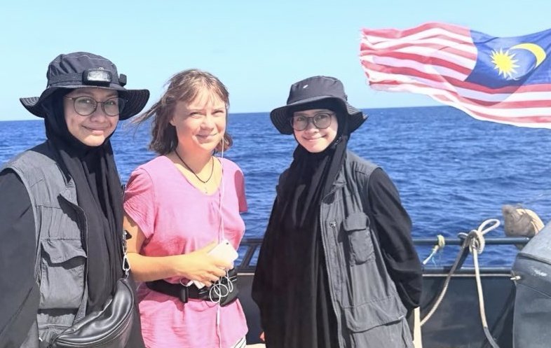 ✦✦✦ 𝙿𝚊𝚖𝚙𝚑𝚕𝚎𝚝𝚜 ✦✦✦ tweet media