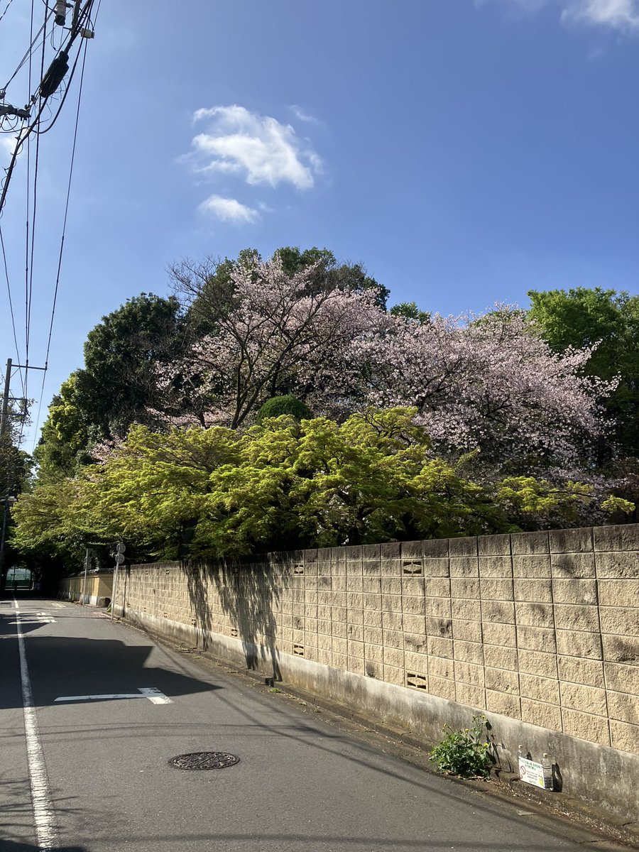 MP0¹⁰⁴ tweet media