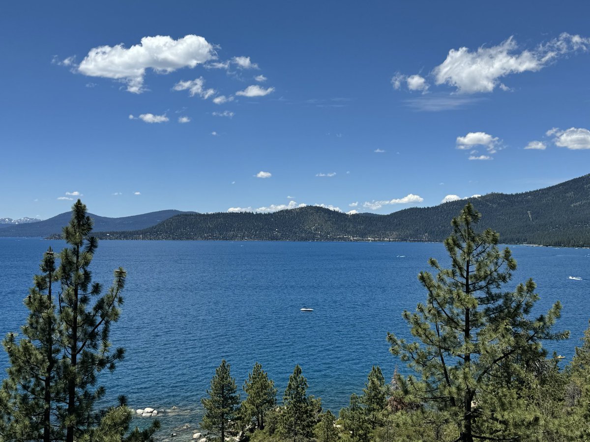 Stelonlevo tweet media