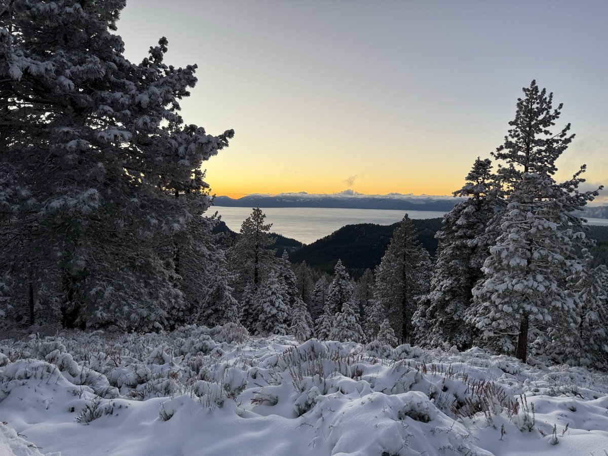 Stelonlevo tweet media