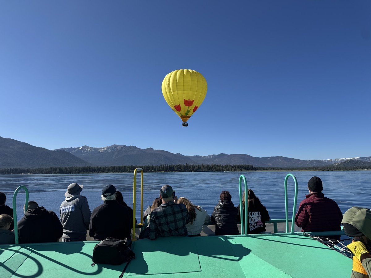 Stelonlevo tweet media