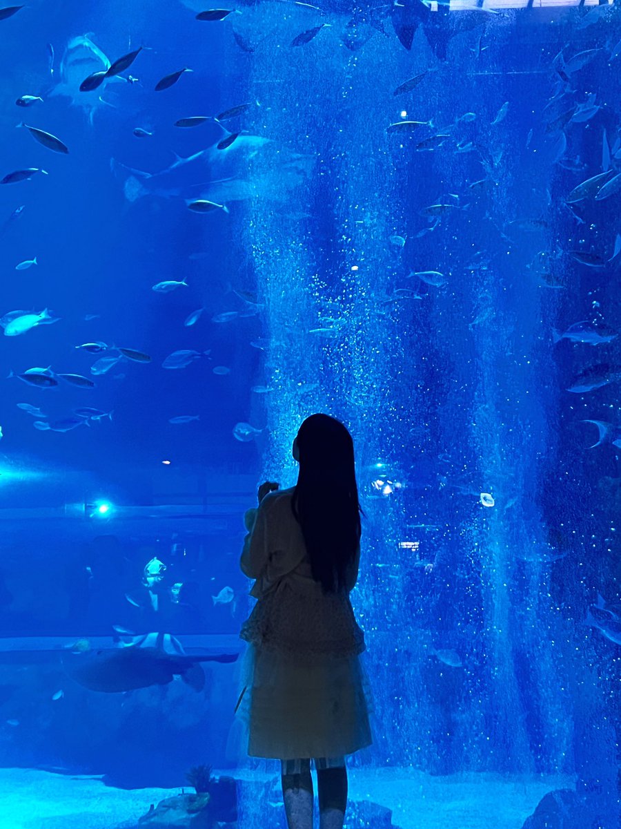소금🐟 tweet media