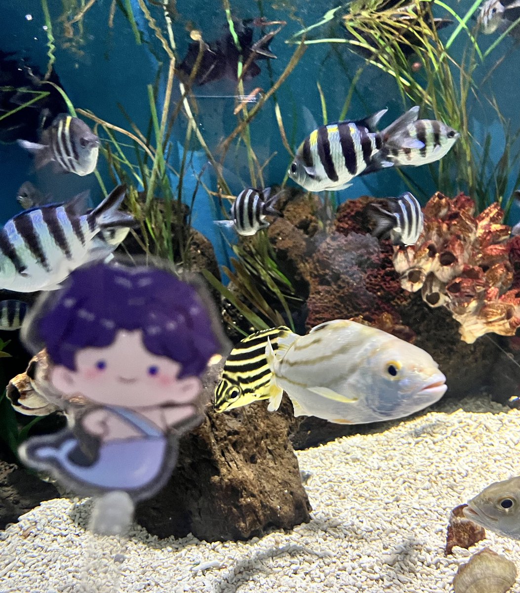 소금🐟 tweet media