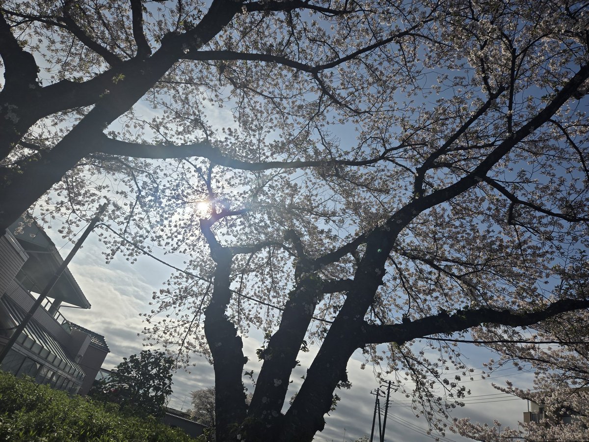 あたん@tA tweet media