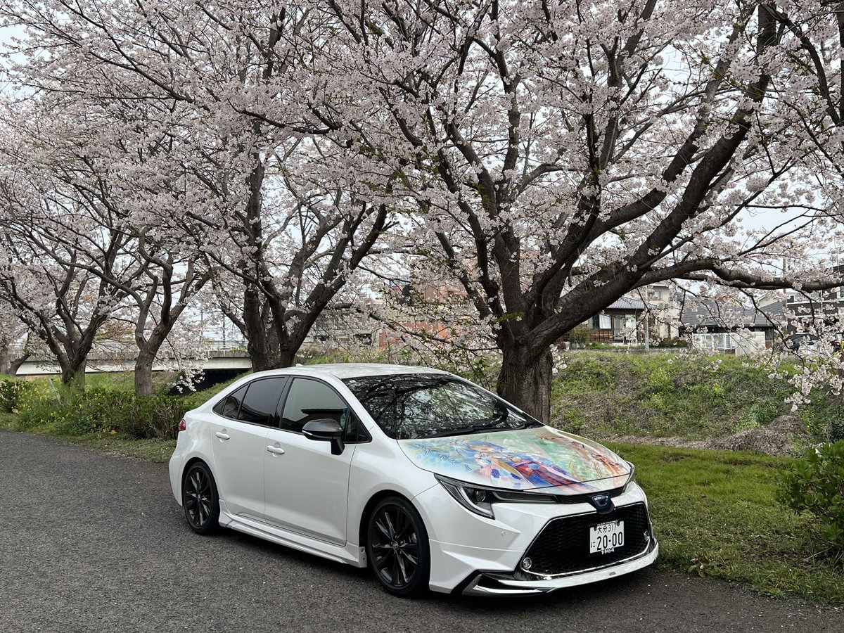 渚🍃☃️ tweet media