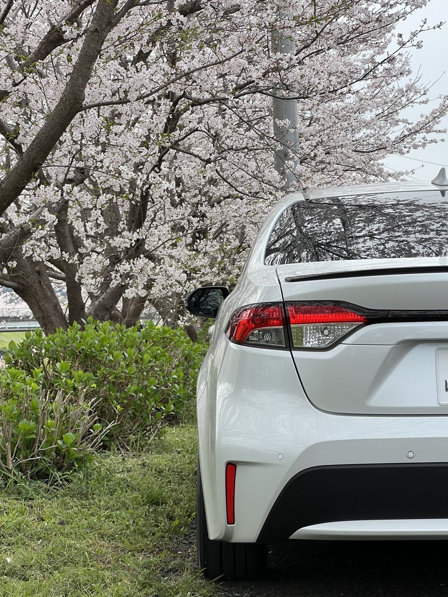 渚🍃☃️ tweet media