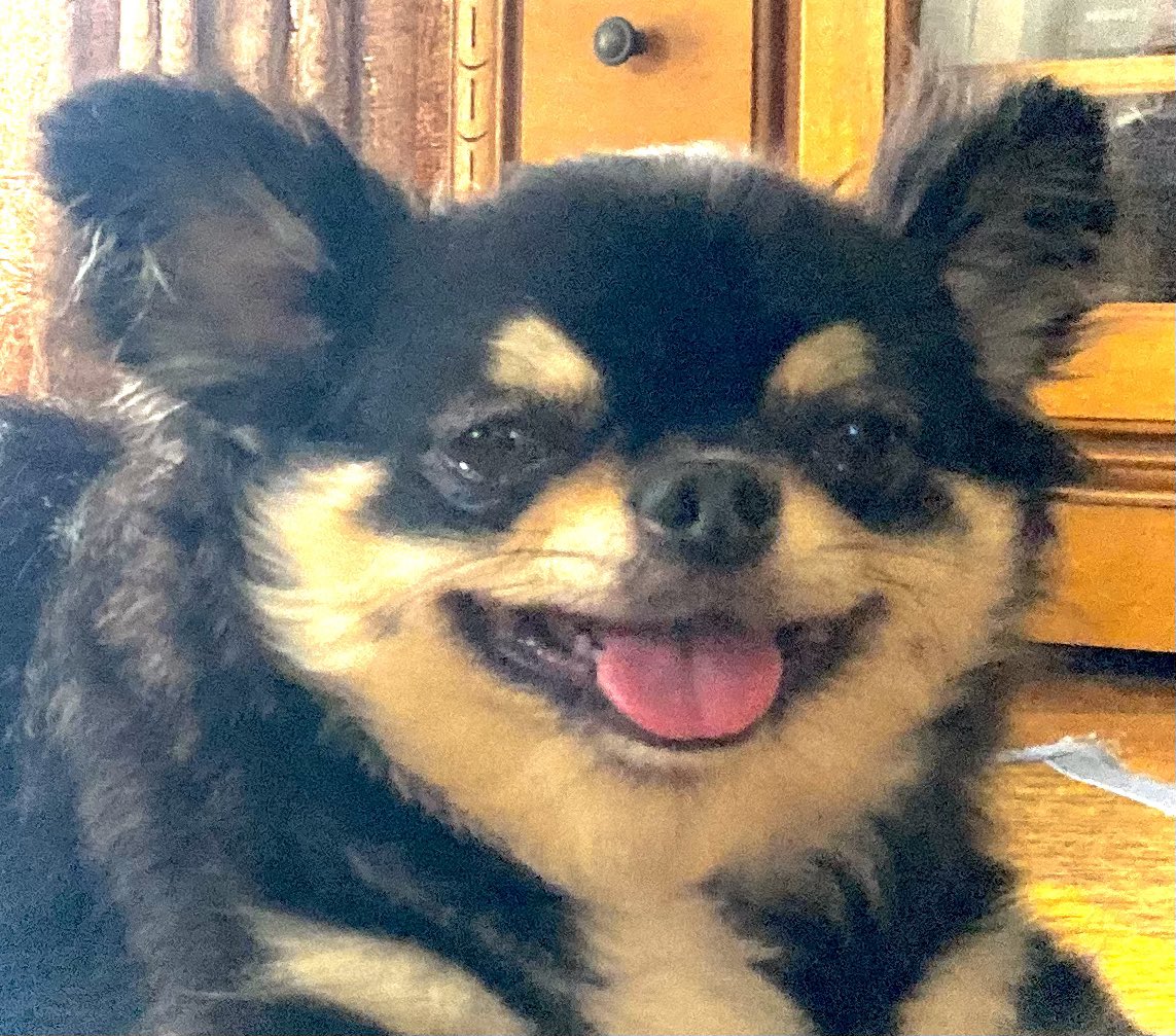 BB PANKUN 🍞 tweet media