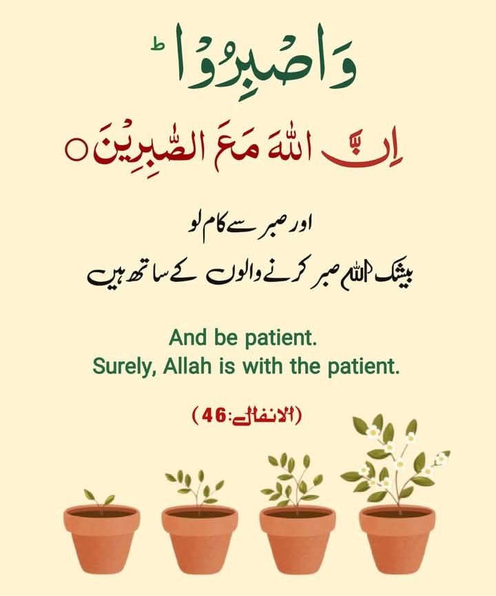 اردو ورثہ tweet media