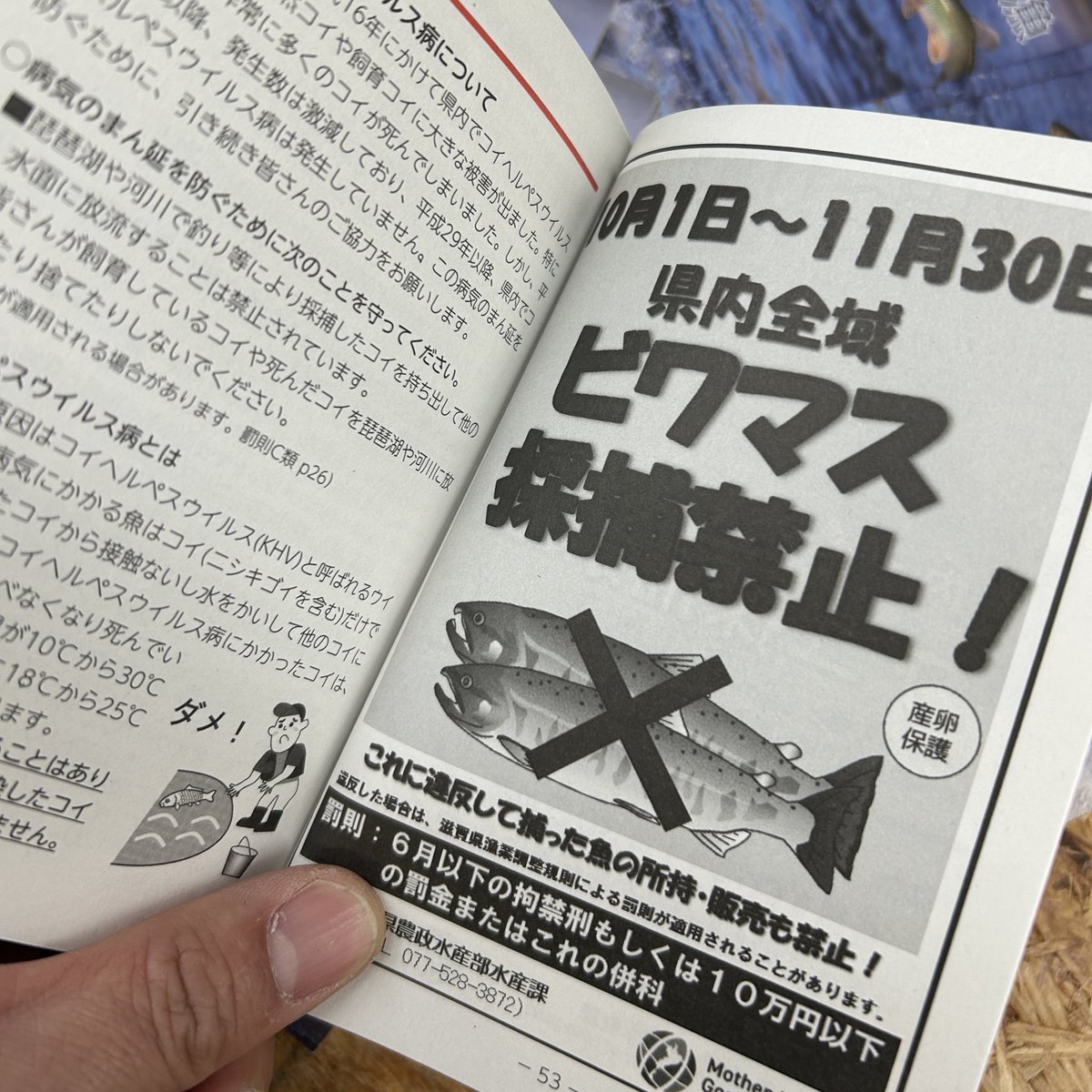 ToretoruF's tweet photo. 令和8年版の遊漁の手帖を釣具コーナーで配布しております🤗

琵琶湖の釣りルールを知るためにもぜひご覧ください✨ https://t.co/xgRfcn9p3d