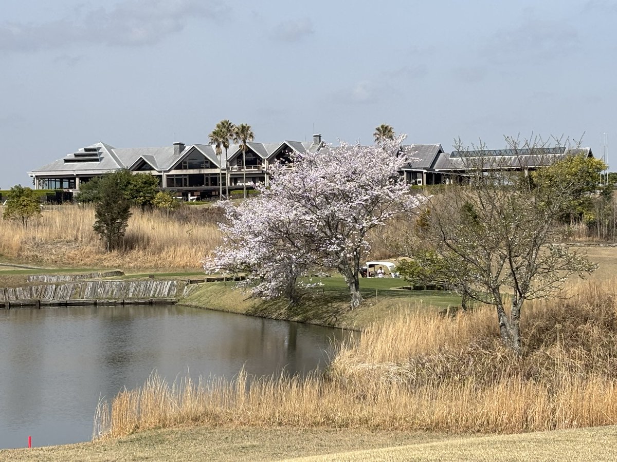 白ティー(M)のDAI tweet media