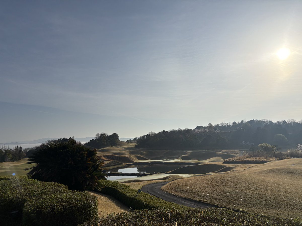 白ティー(M)のDAI tweet media