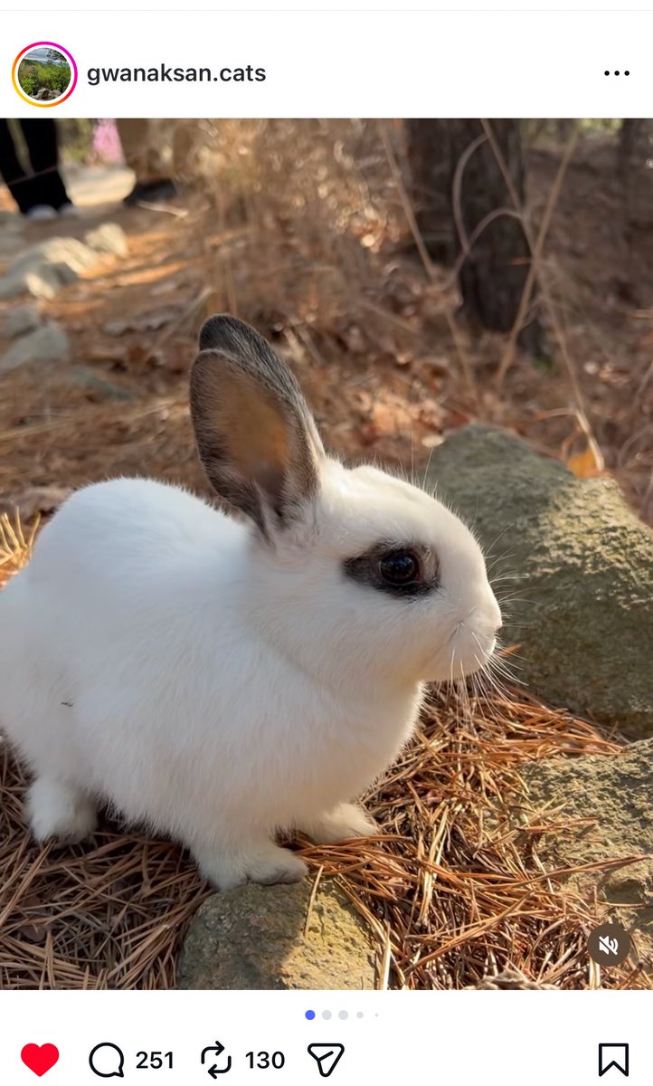 돌돌이한달에1km쓰는사람 tweet media