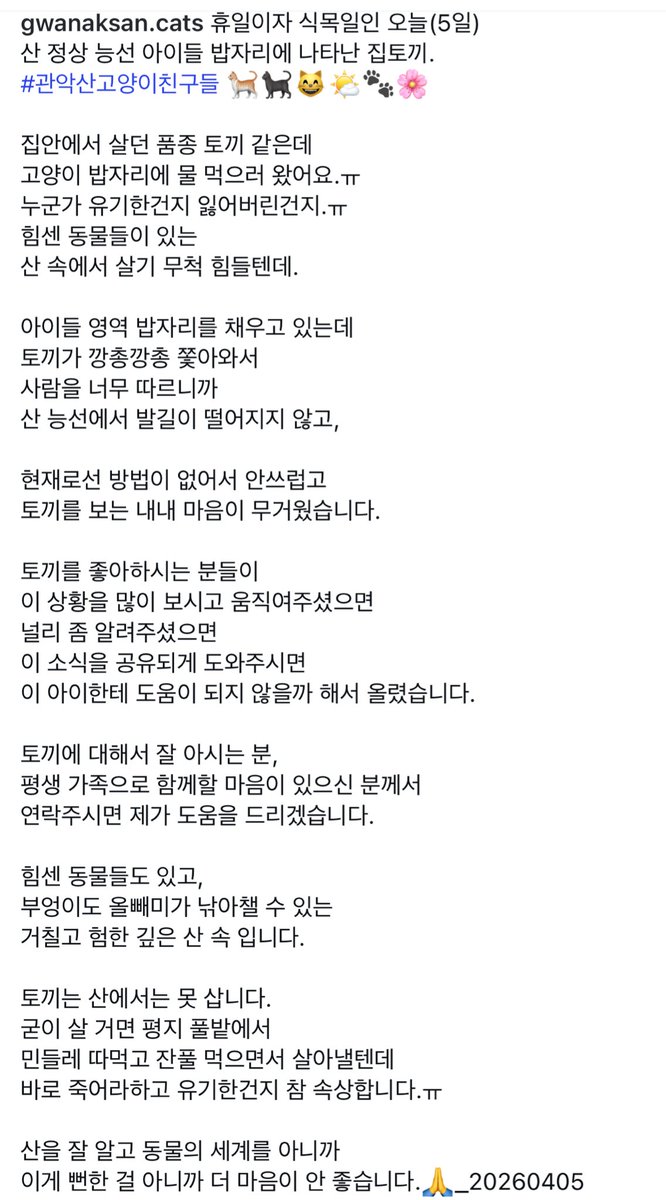 돌돌이한달에1km쓰는사람 tweet media