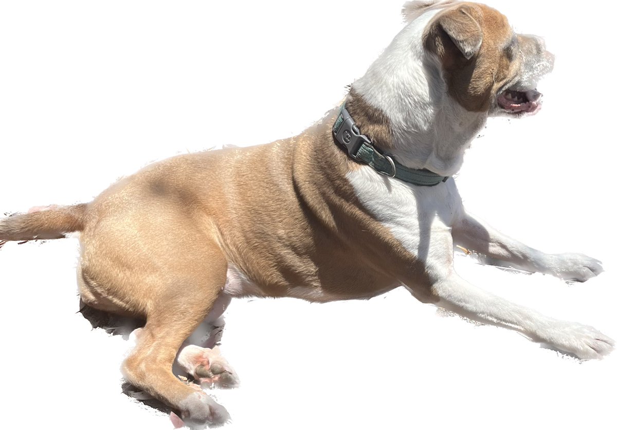 Sarah Living on the New Earth tweet media