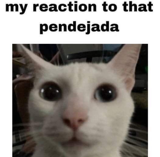 darkside tweet media