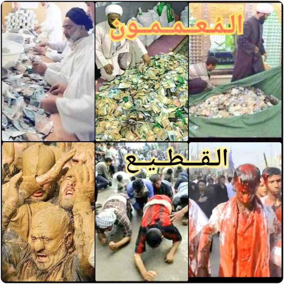 محمد الشمالي tweet media