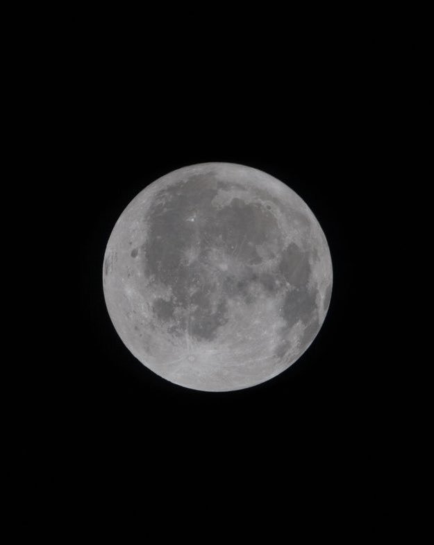 DiscussingFilm tweet media