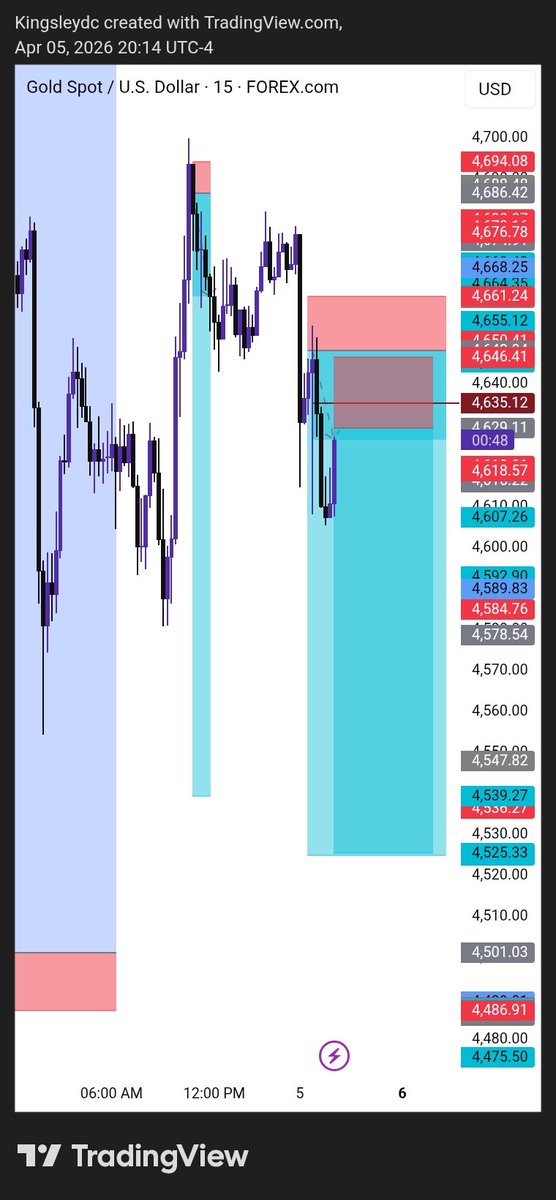 Kingsley DC tweet media