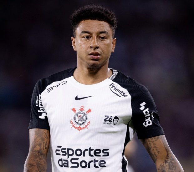 MANUAL DO JOGADOR RUIM tweet media