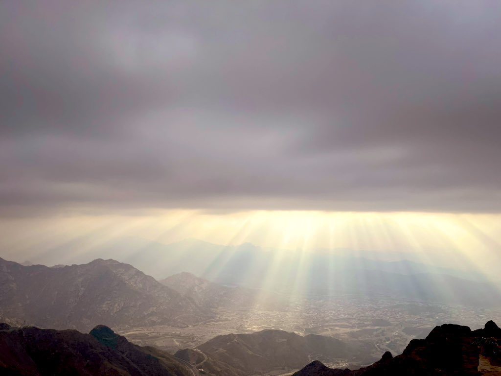 دائماً لأ 🇸🇦 tweet media