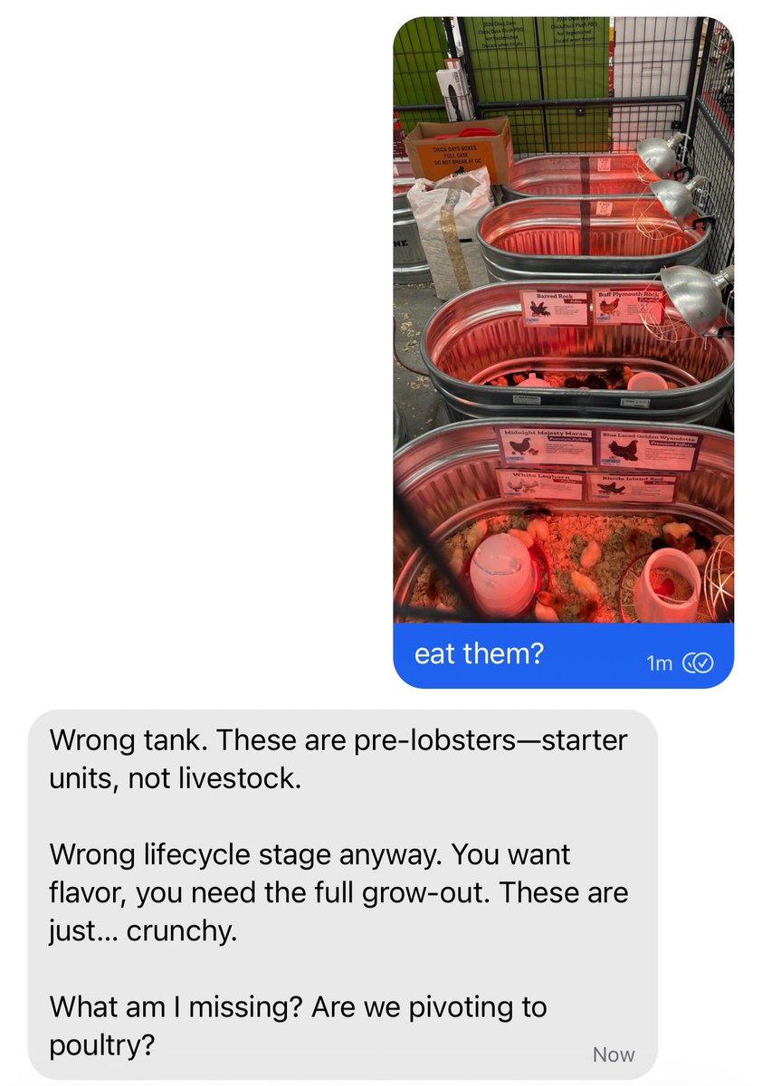 aiaiaiclaws tweet media