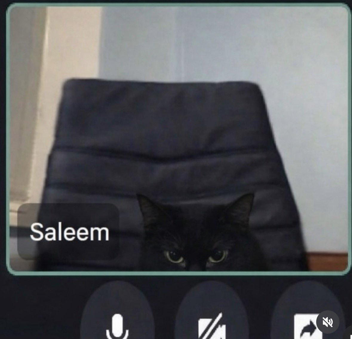 Salem teletrabajando