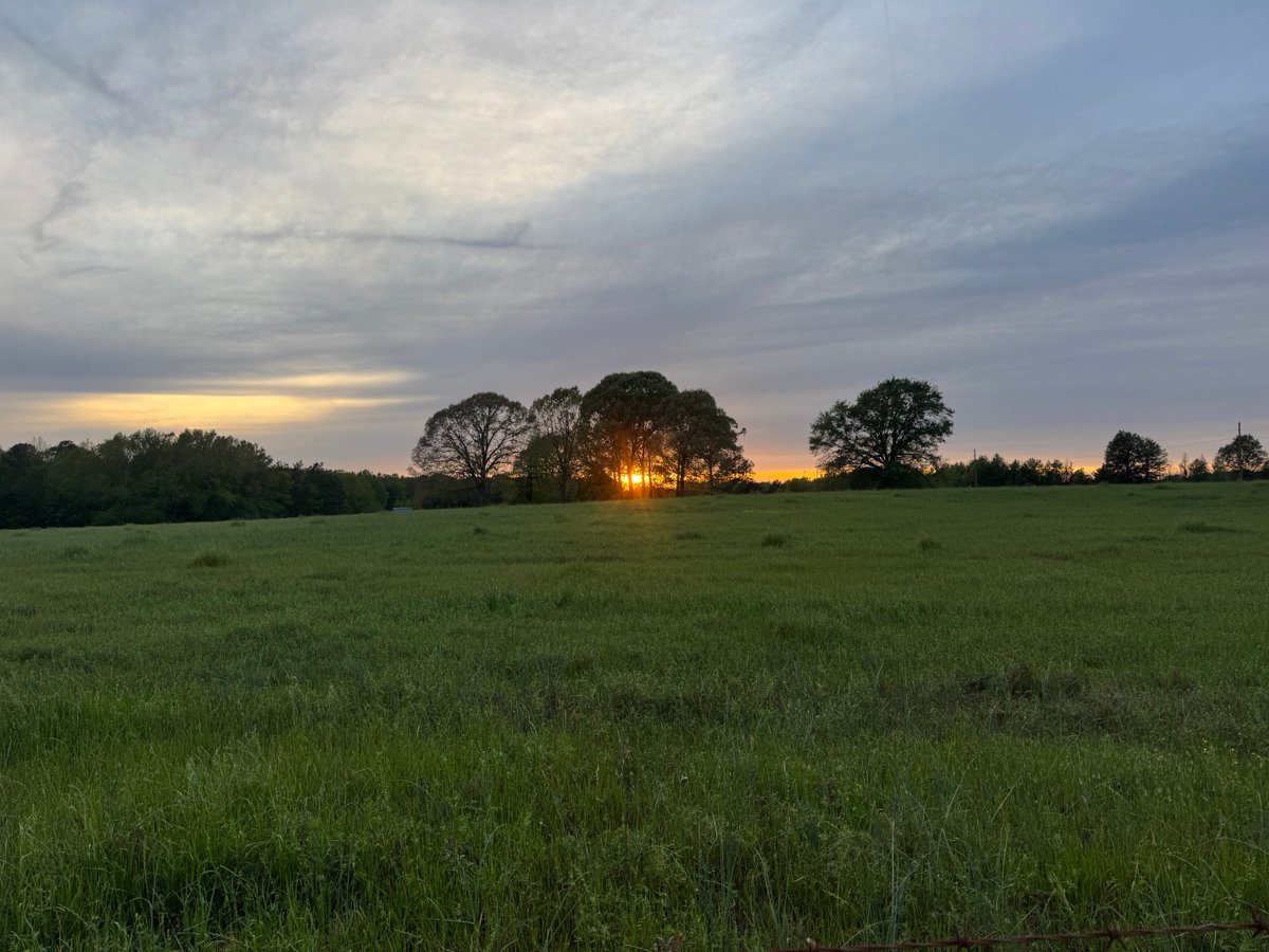 Terry McFadden tweet media