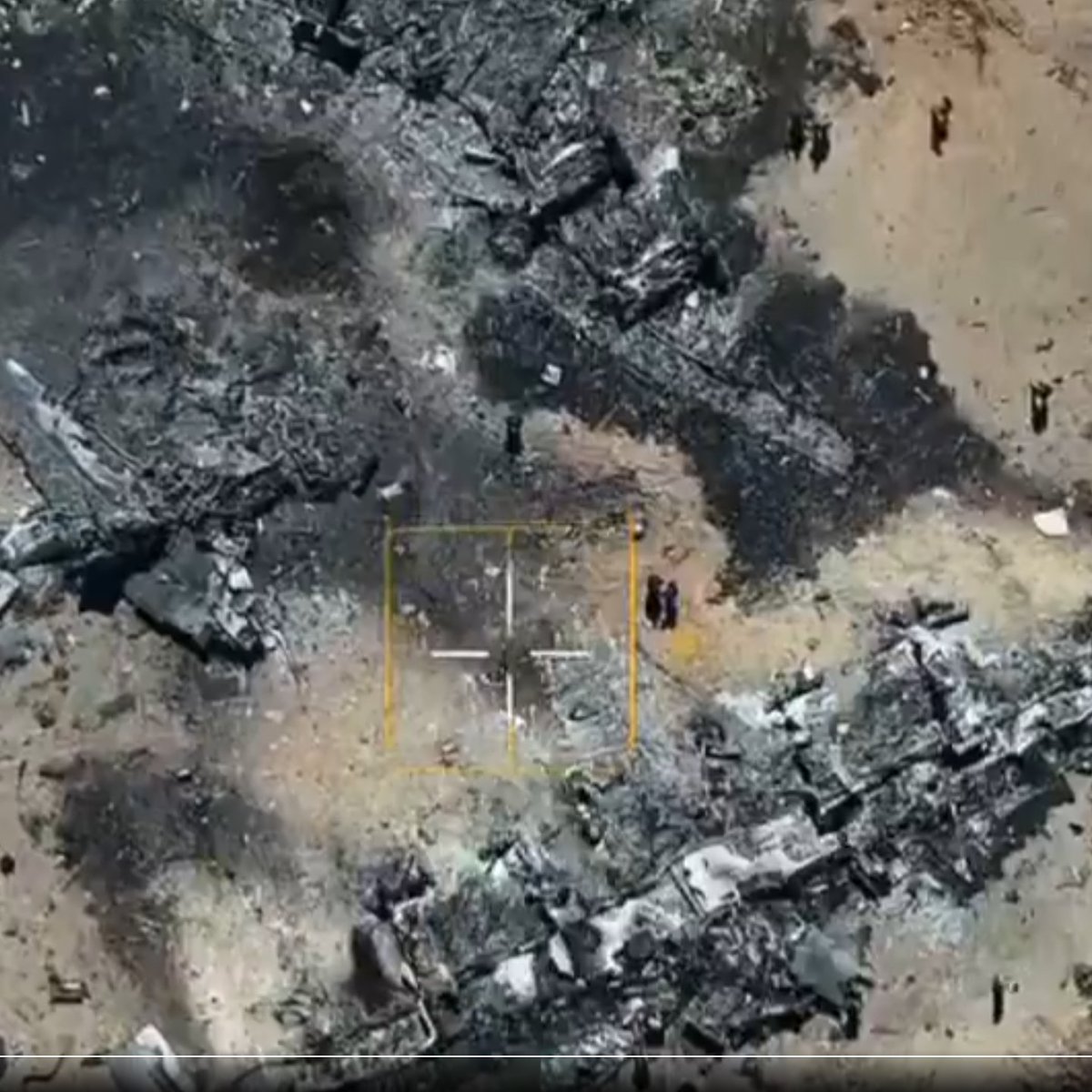 david D. tweet media