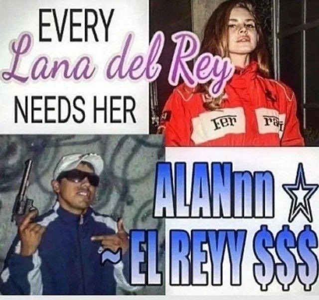 Quilombola tweet media