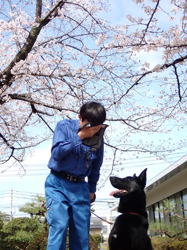岡山県警察(公式) tweet media