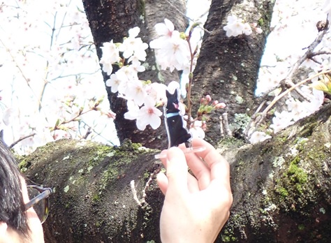 岡山県警察(公式) tweet media